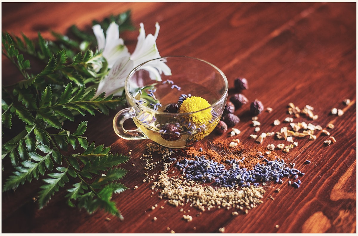 nurturing winter wellness: ayurvedic herbs for holistic health