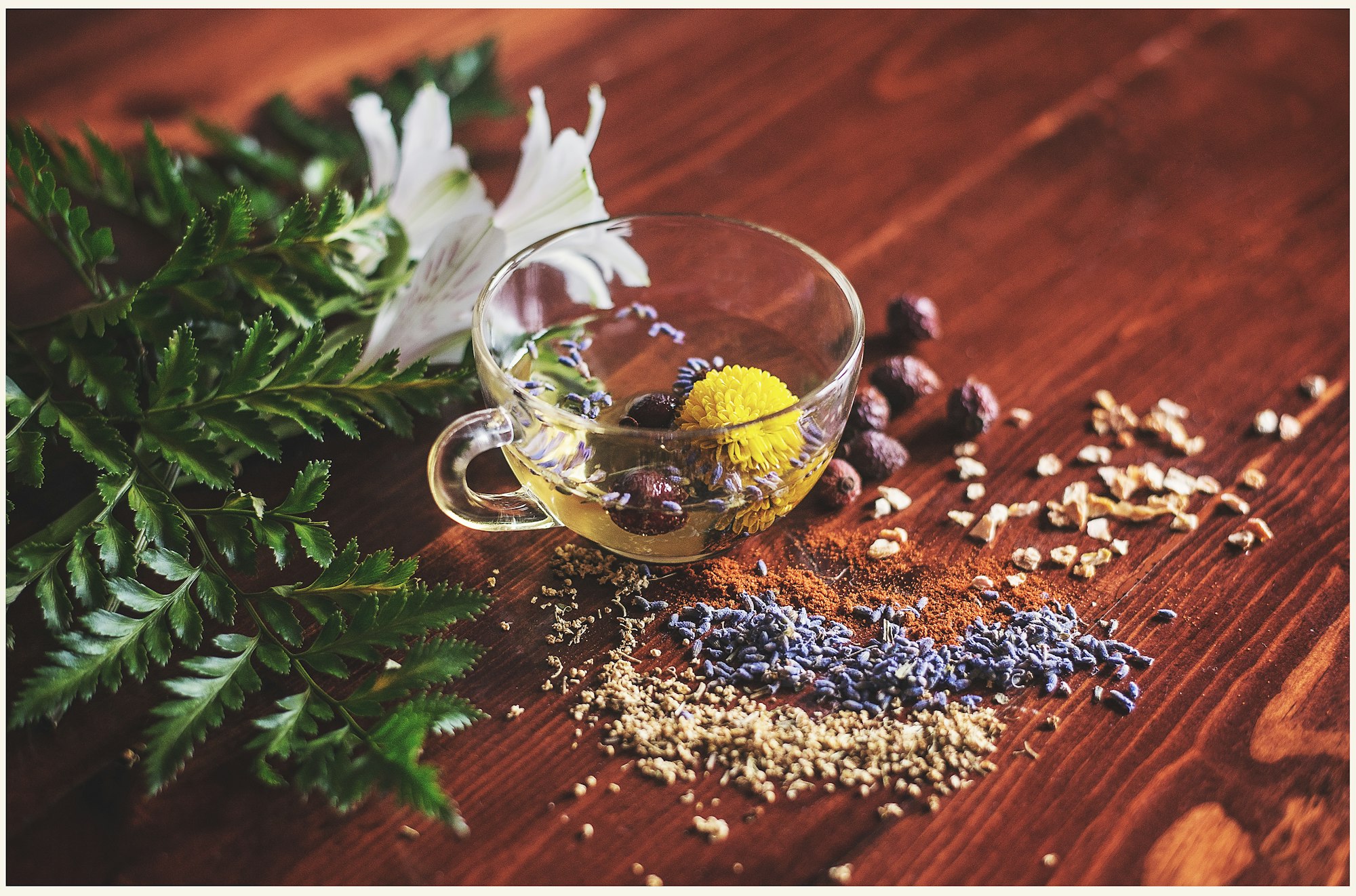 A cup of herbal tea surrounded by an assortment of aromatic herbs and botanicals.