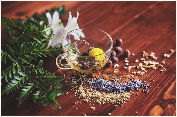A cup of herbal tea surrounded by an assortment of aromatic herbs and botanicals.
