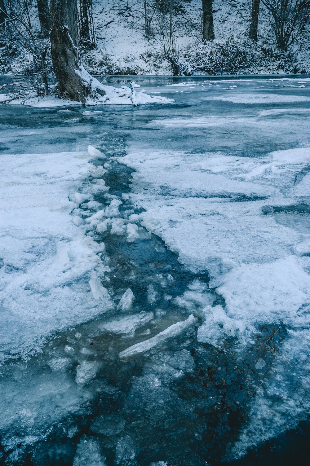 a river running through a forest covered in snow