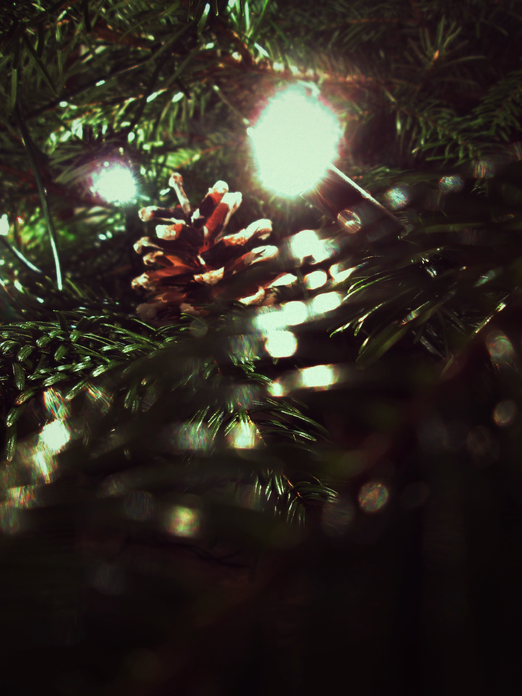 Cozy Pinecone Garland