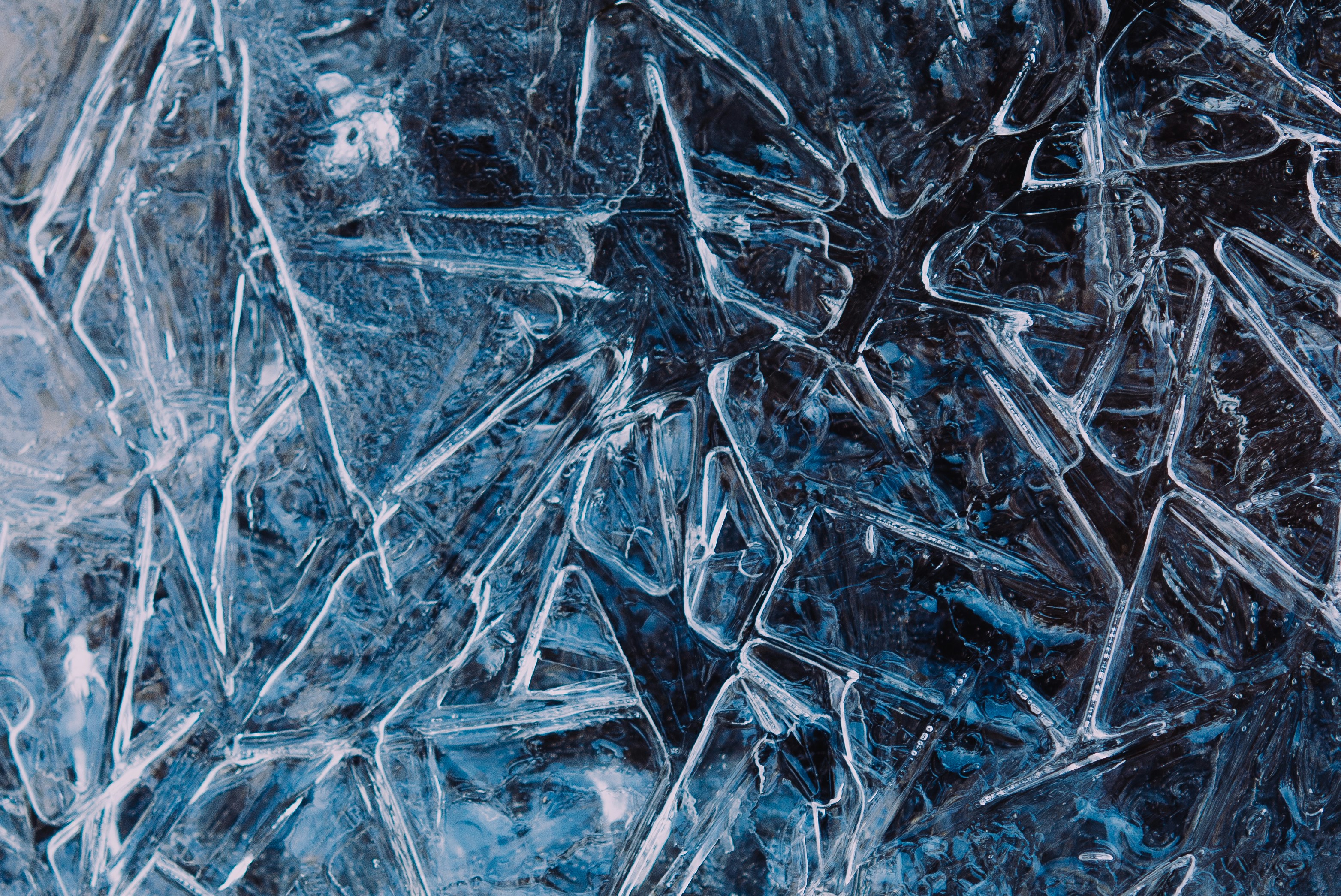 Cold Plunge Therapy And Its Role In Detoxification