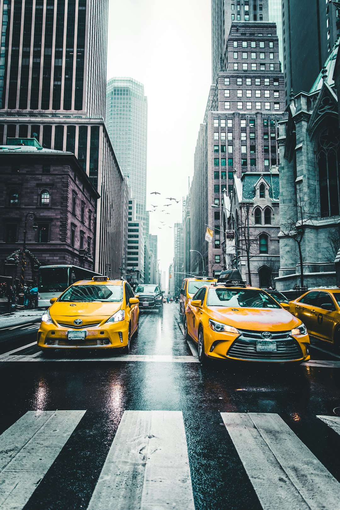 The Streets of NYC.