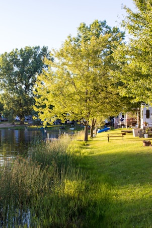 A peaceful lakeside scene with lush green grass and tall trees casting shadows in the late afternoon light. A small dock extends into the calm water, surrounded by reeds. Nearby are a picnic table and a few outdoor chairs. The setting conveys a quiet, serene atmosphere, ideal for relaxation.