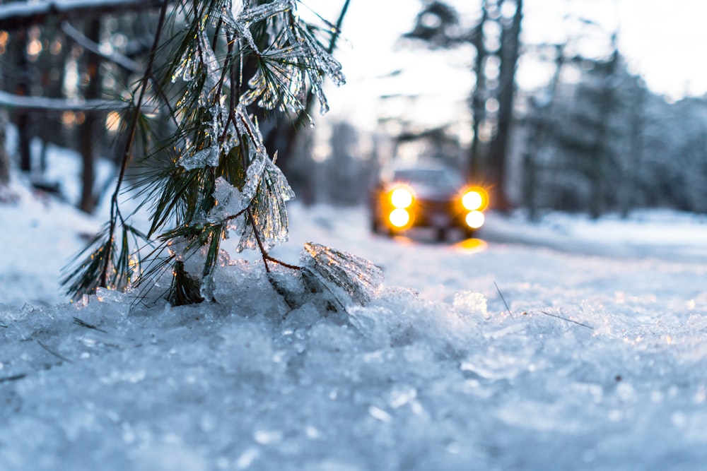 昼間の雪上の車