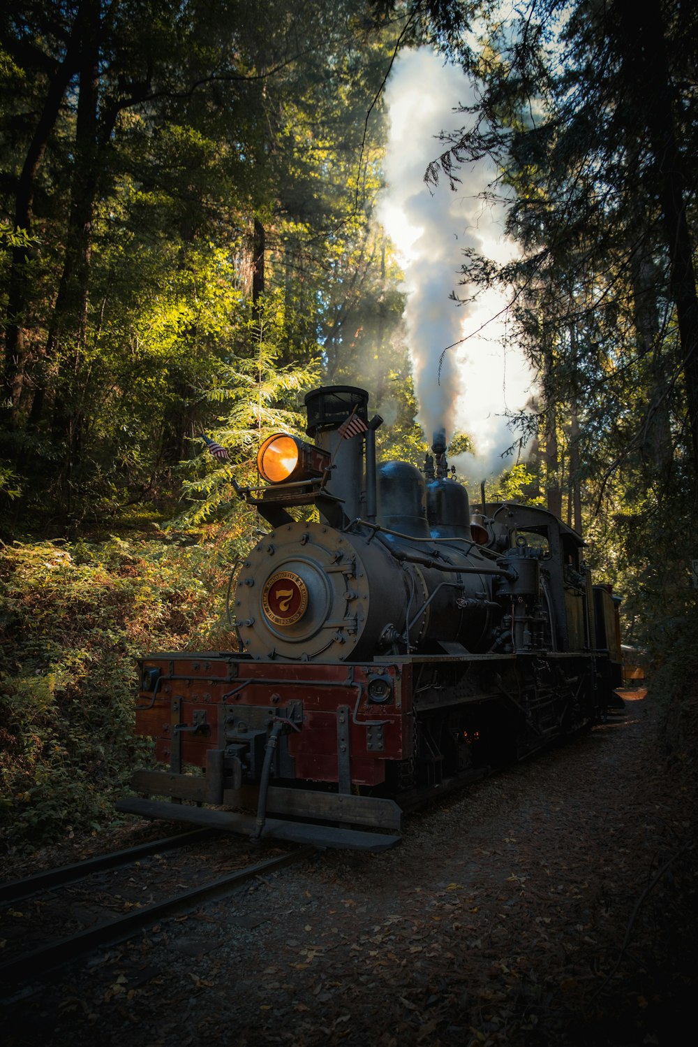Steam locomotive surrounded by forest trees during daytime