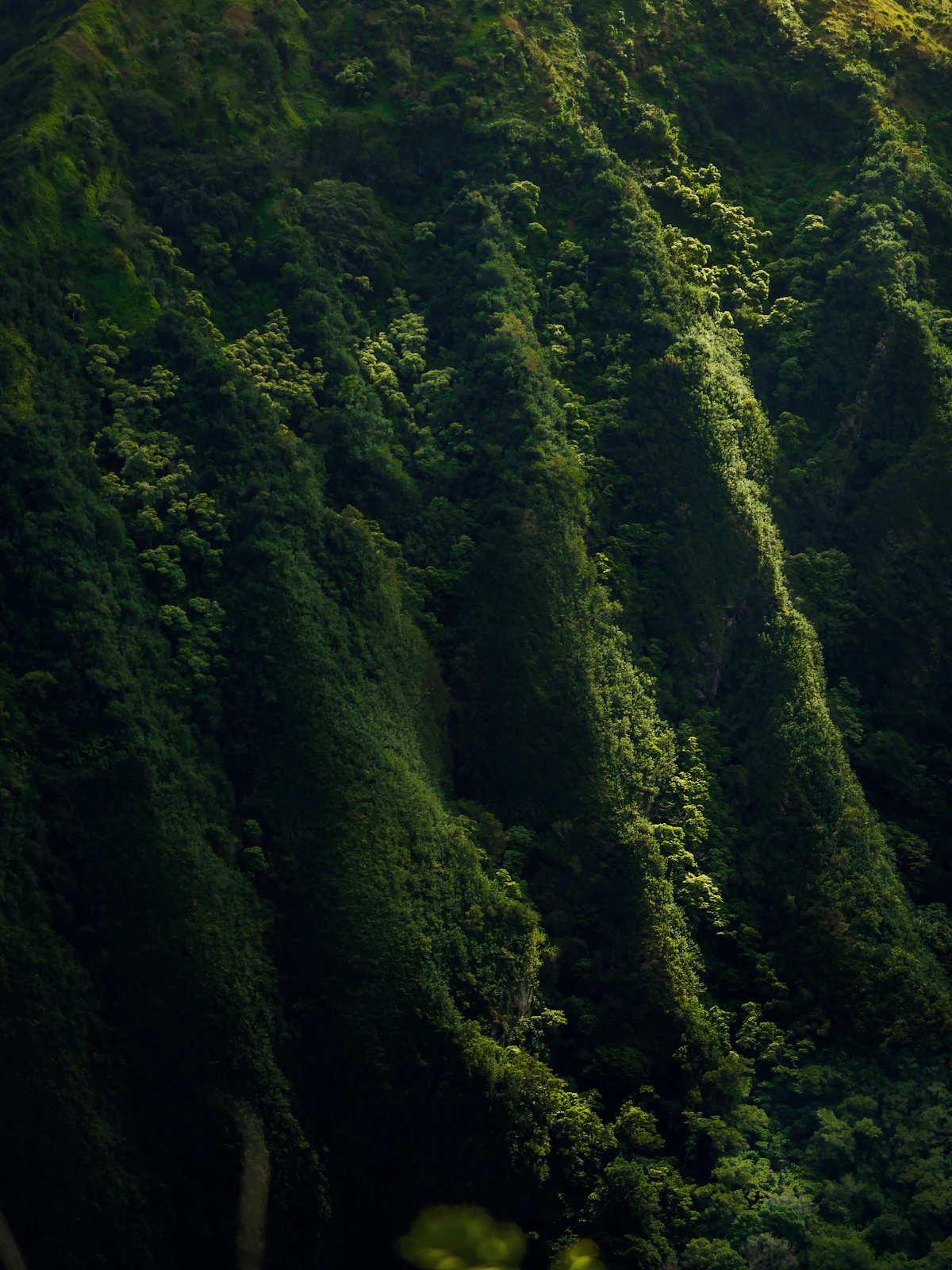 Valle Gran Rey, La Gomera