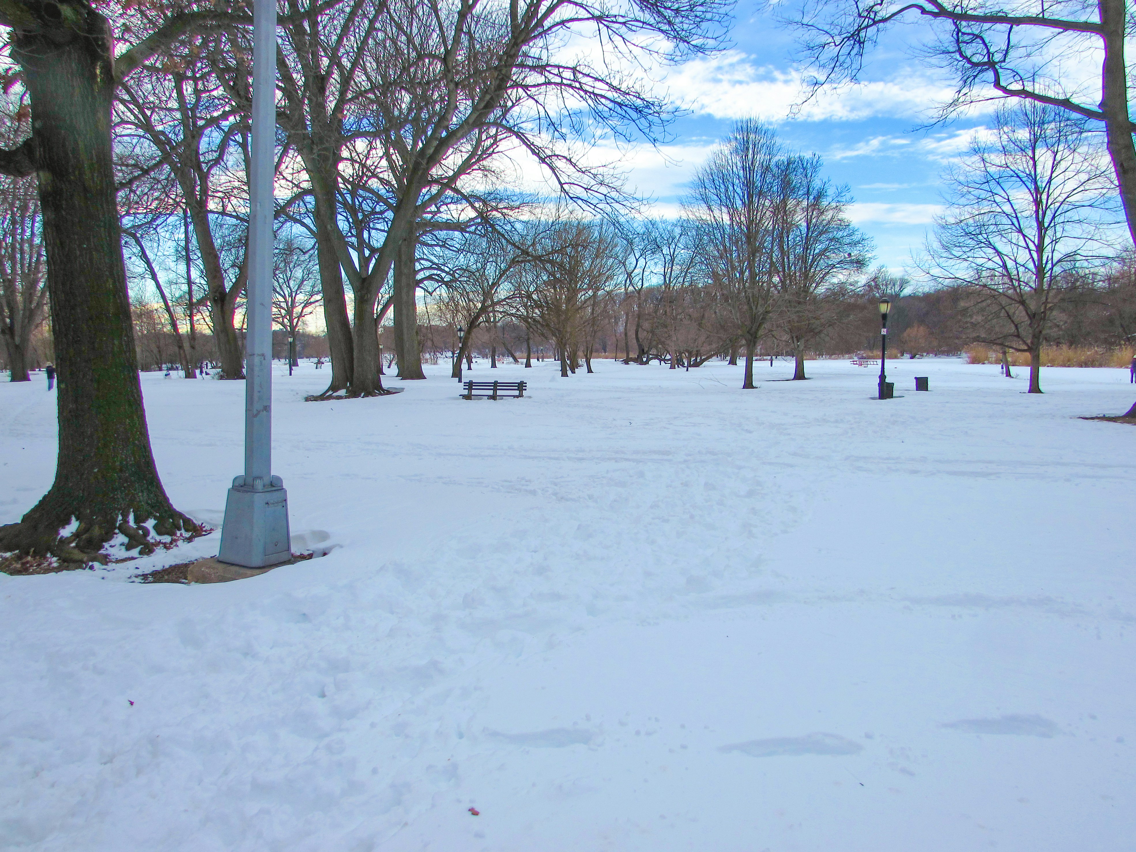 Free Prospect park Image on Unsplash