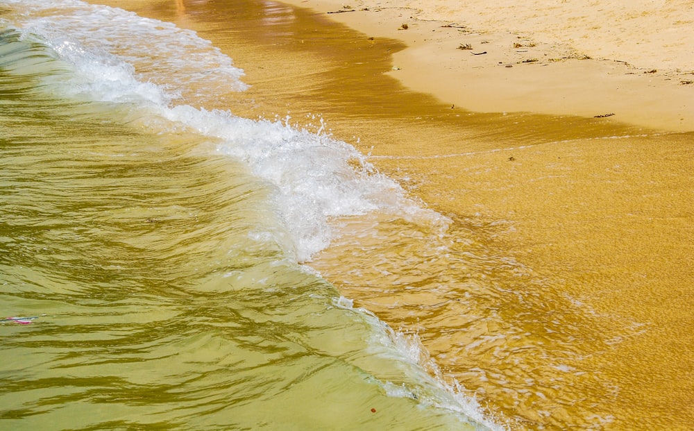 sea wave crashing on seashore