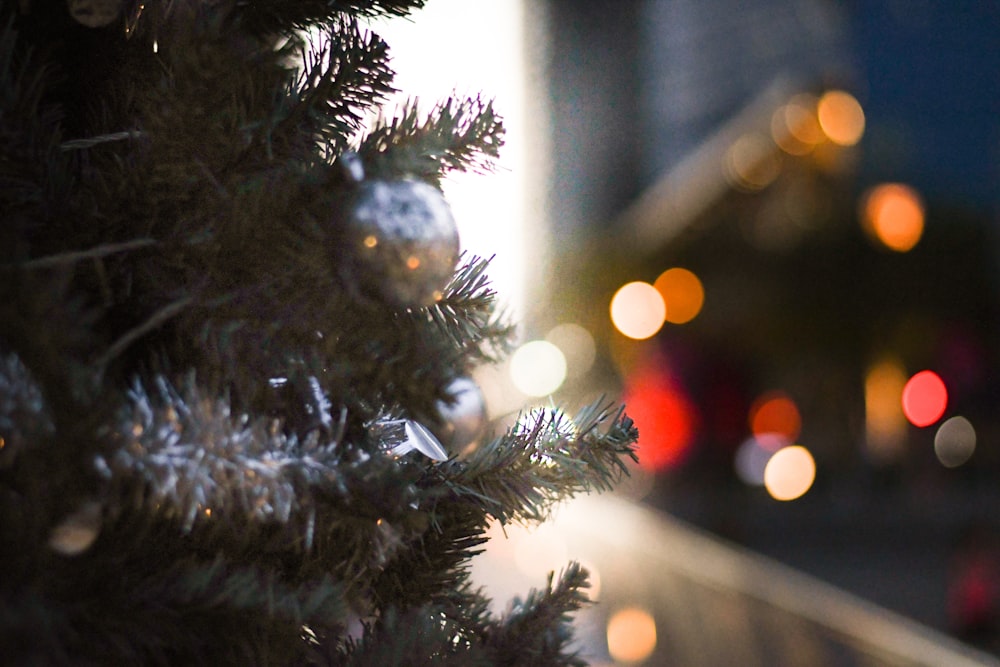 a close up of a pine tree with blurry lights in the background