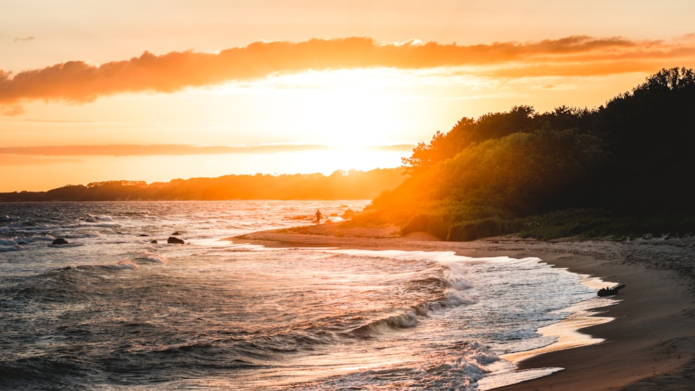 sea shore during sunset