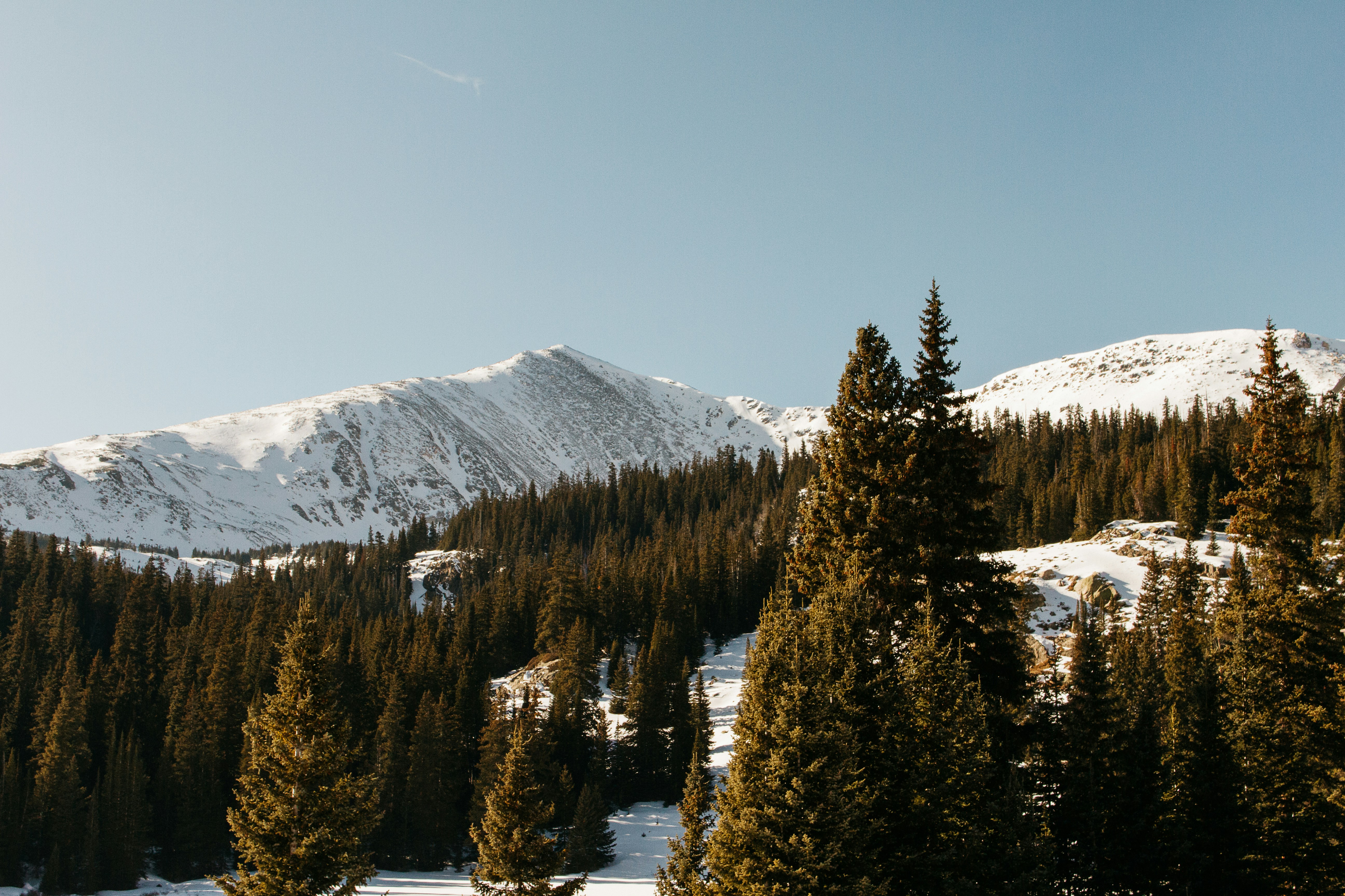 snow covered mountain and trees, 