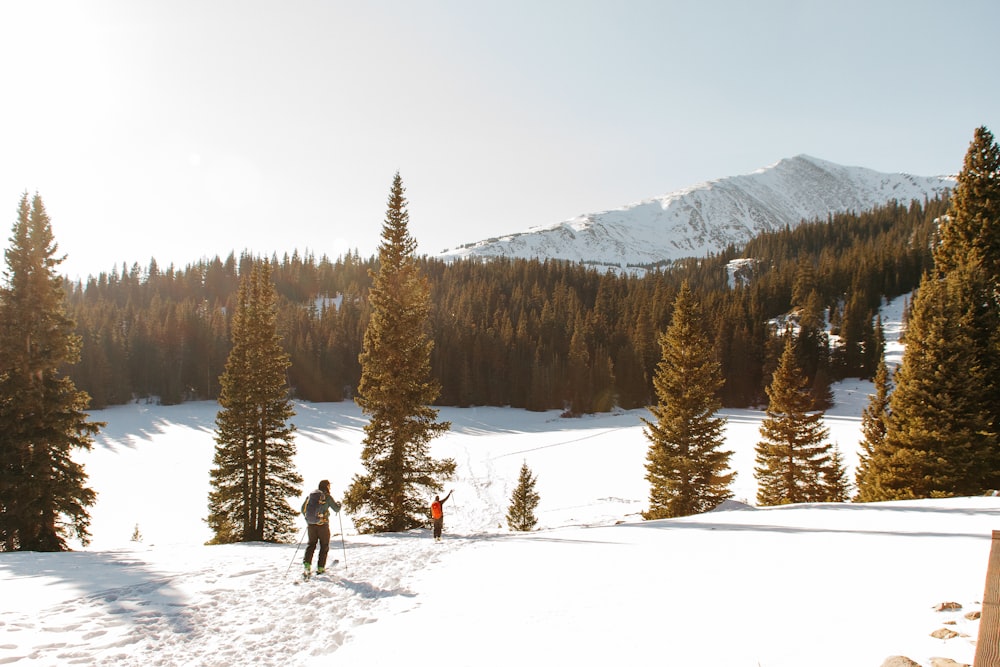 person playing snow skis