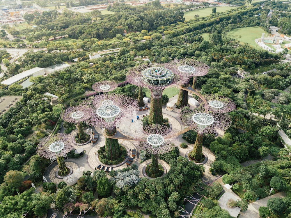 aerial view of forest during day time