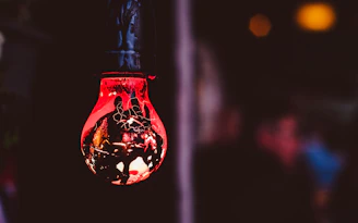 hanged red and black light bulb