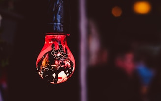 hanged red and black light bulb