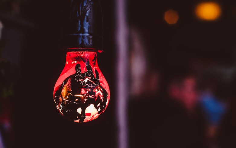 hanged red and black light bulb
