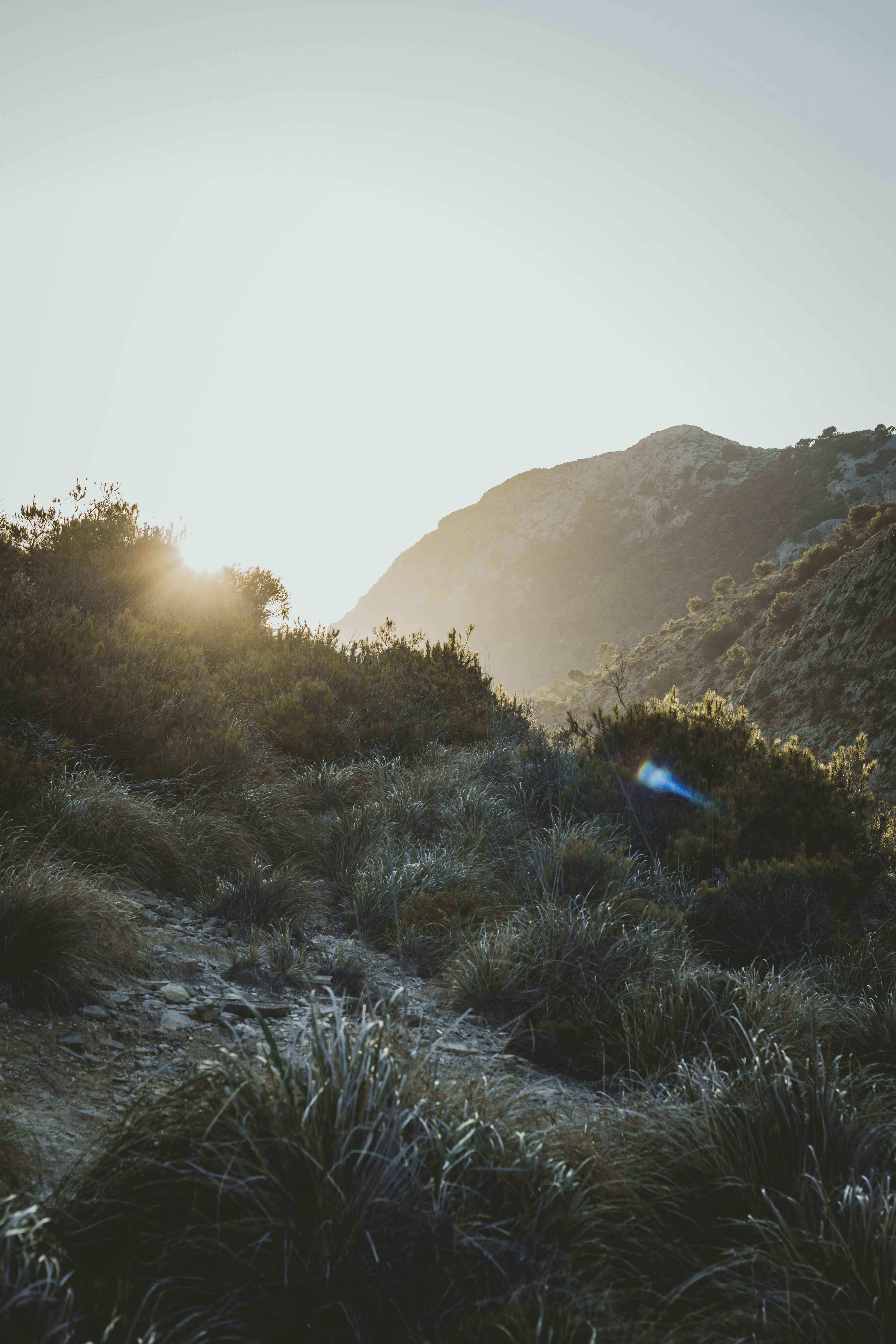 Photo by quentinburbach