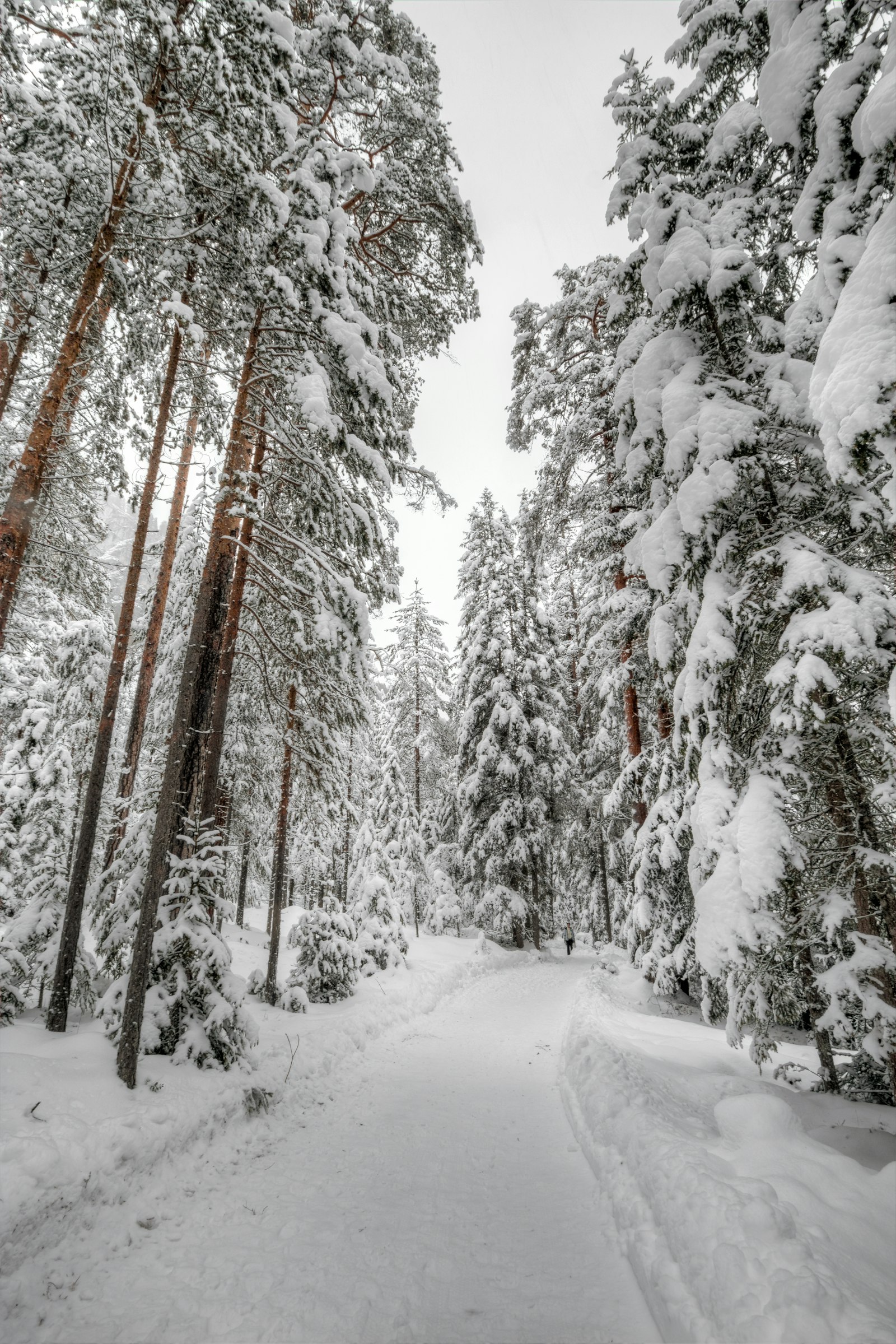 Canon EOS 70D + Canon EF-S 10-22mm F3.5-4.5 USM sample photo. Snow woods photography