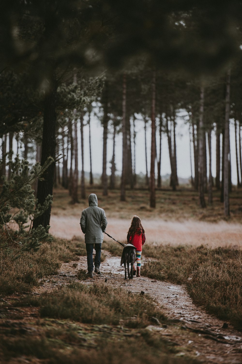 two person near trees