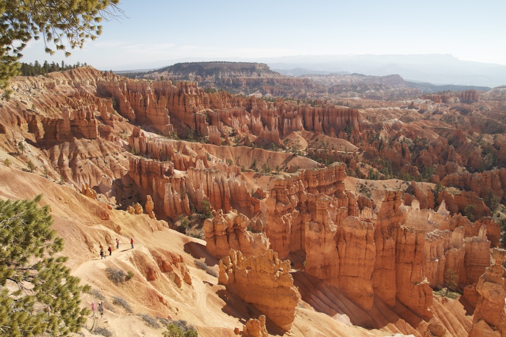 a group of people standing on top of a cliff