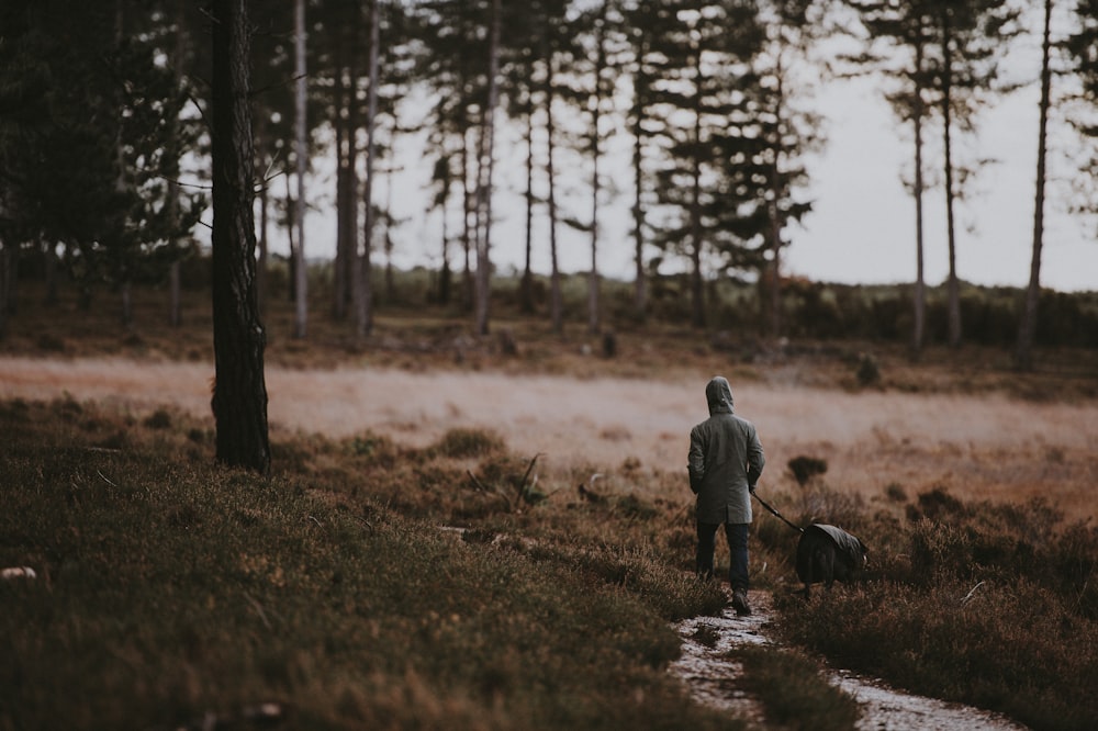 person walking near trees