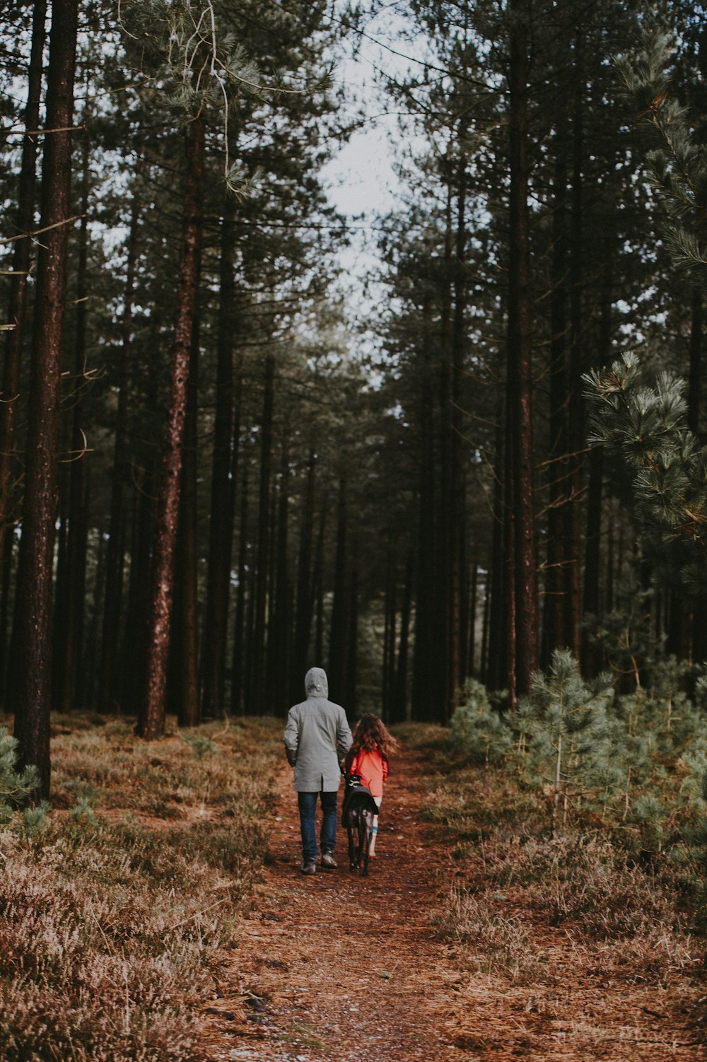 duas pessoas caminhando no caminho entre árvores