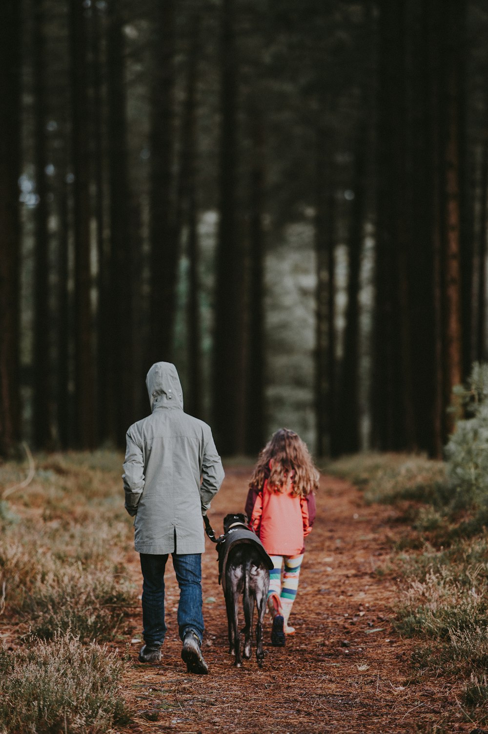 black dog between man and girl walking