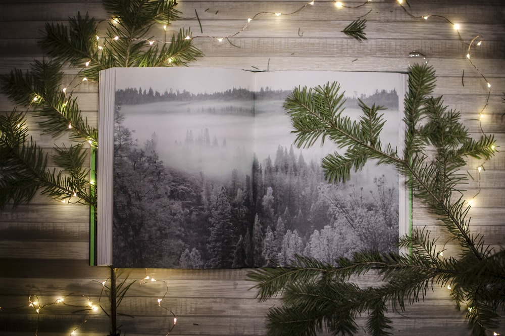 tall trees near lake poster beside string lights