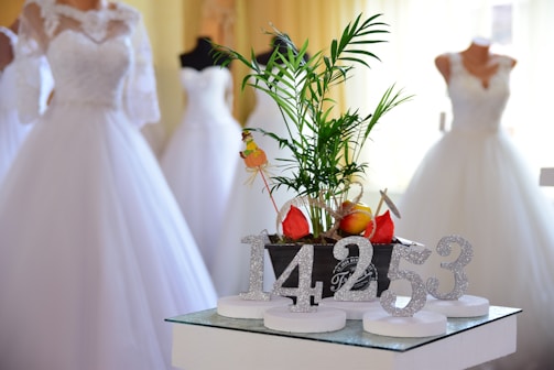 A potted plant with vibrant green leaves is placed on a small table. Surrounding the plant are decorative silver glitter numbers 1, 4, 2, 5, 3. In the background, several elegant white wedding gowns on mannequins are visible, creating a bridal shop ambiance.