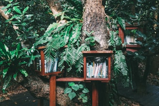 books piled on brown wooden bookshelf
