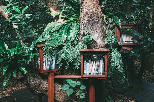 books piled on brown wooden bookshelf in ホテルニラカナイ西表島 Japan