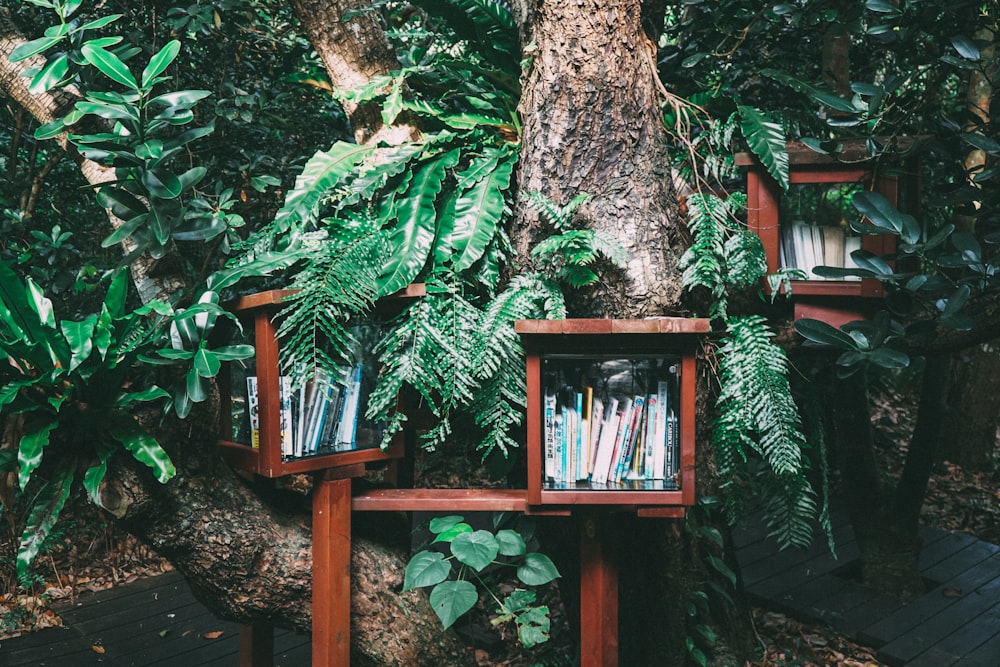 books piled on brown wooden bookshelf