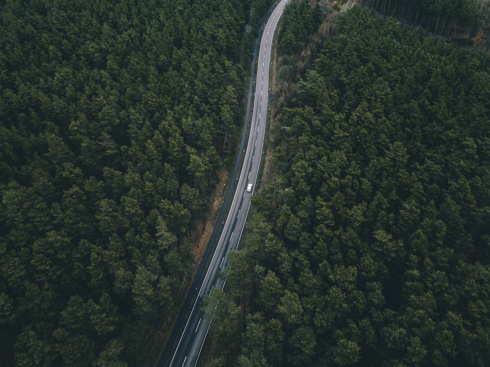 birds eye photography of white vehicle on road