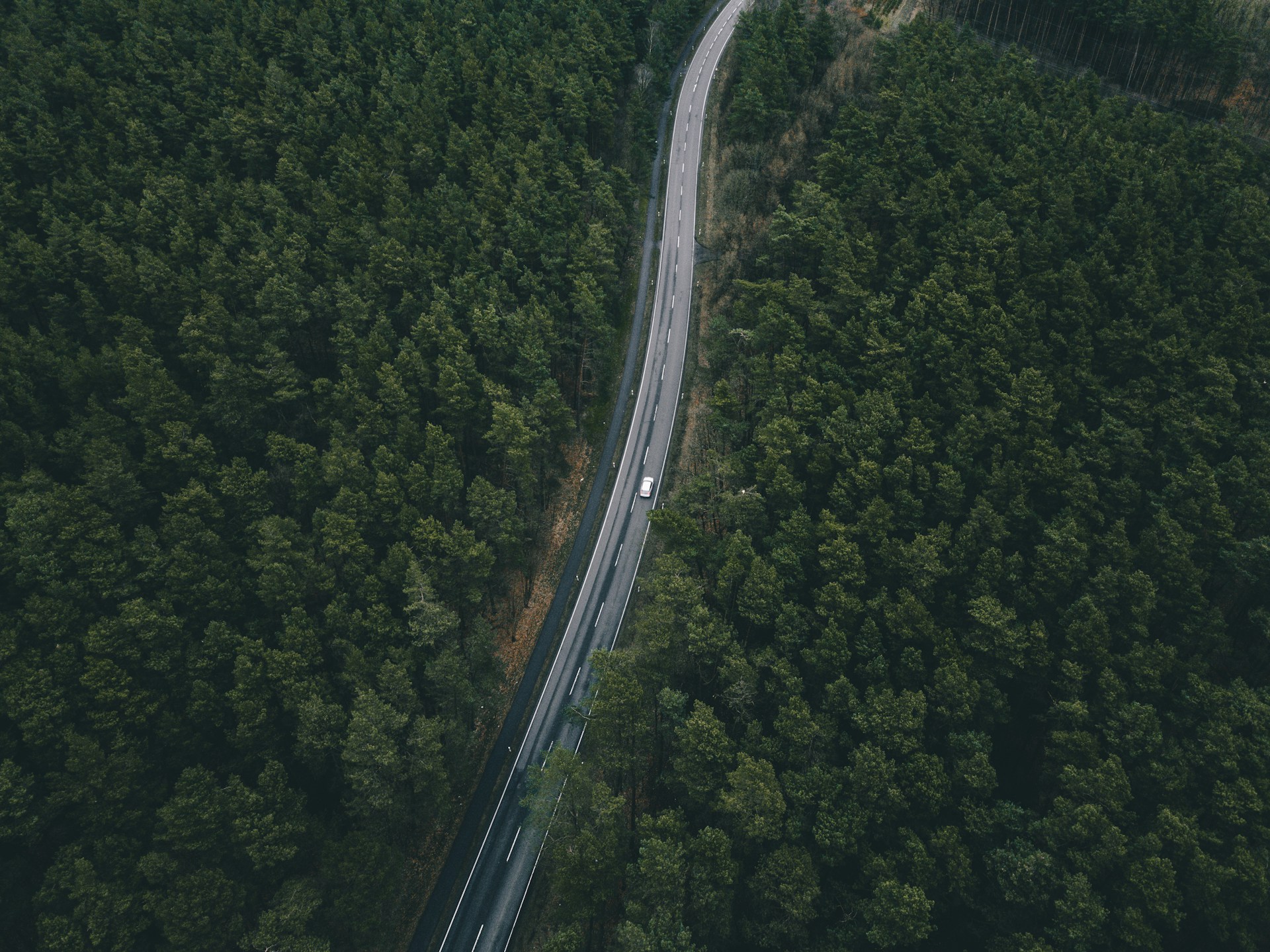 birds eye photography of white vehicle on road