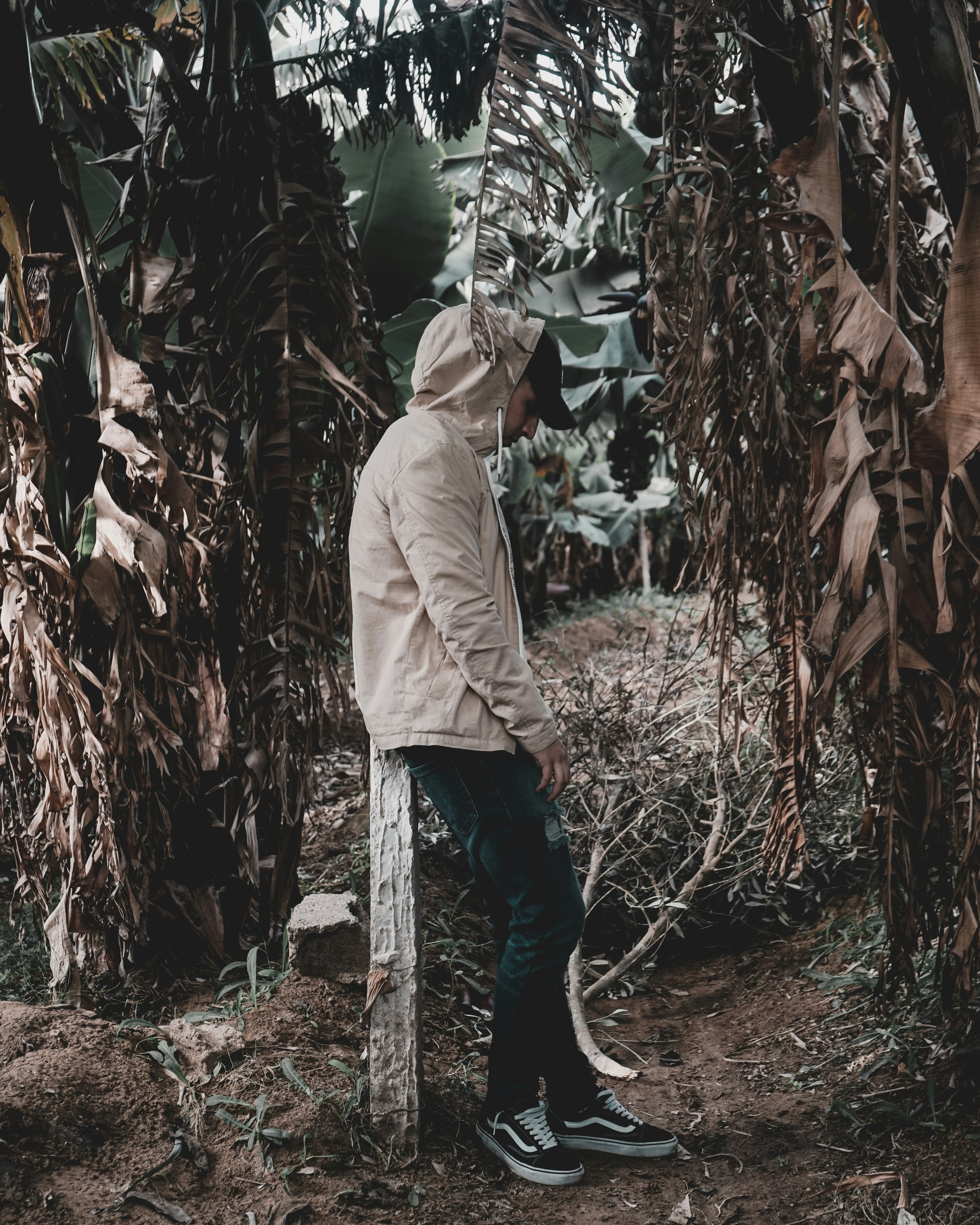 向往的生活第二季在线观看免费，向往的生活第二季在线观看免费高清