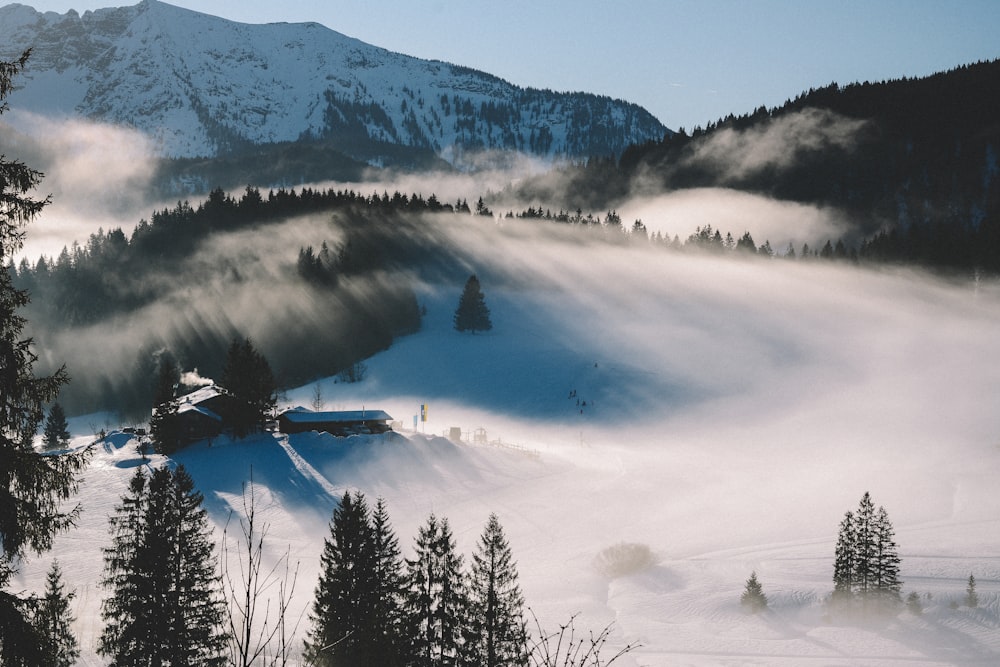 house on covered mountains near pine trees at daytime