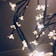A close-up of small LED lights shaped like flowers attached to dark twisting branches, creating a warm and cozy ambiance with soft illumination.