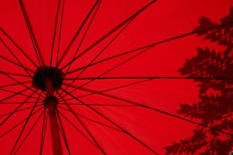 low angle photo of red umbrella