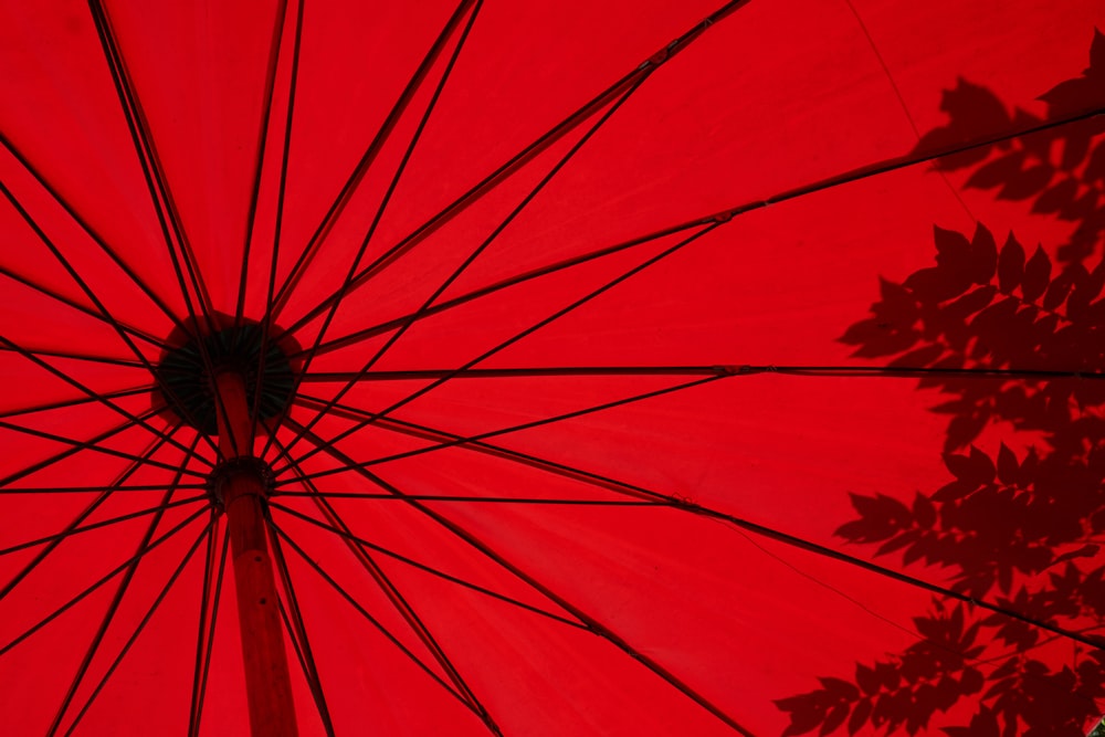 Foto de ángulo bajo de paraguas rojo