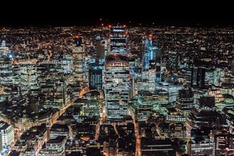 aerial photography of city scapes at nighttime
