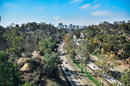 vehicle passing on road in between trees with buildings ahead at daytime in Balboa Park United States