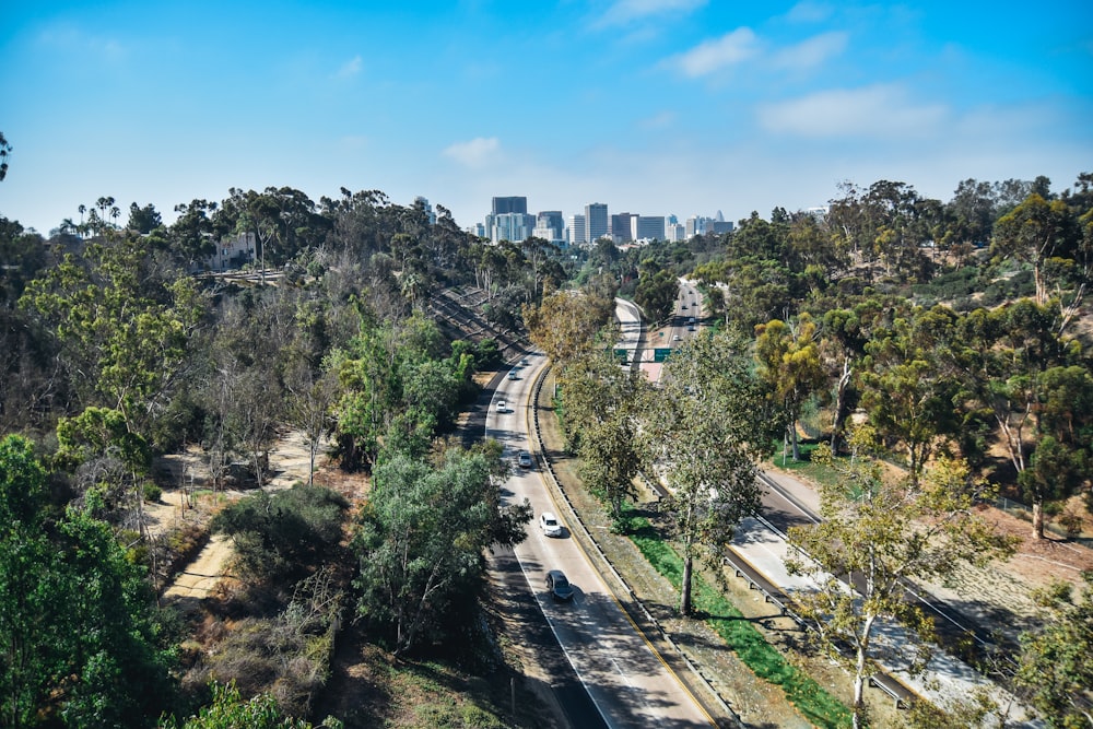 vehicle passing on road in between trees with buildings ahead at daytime