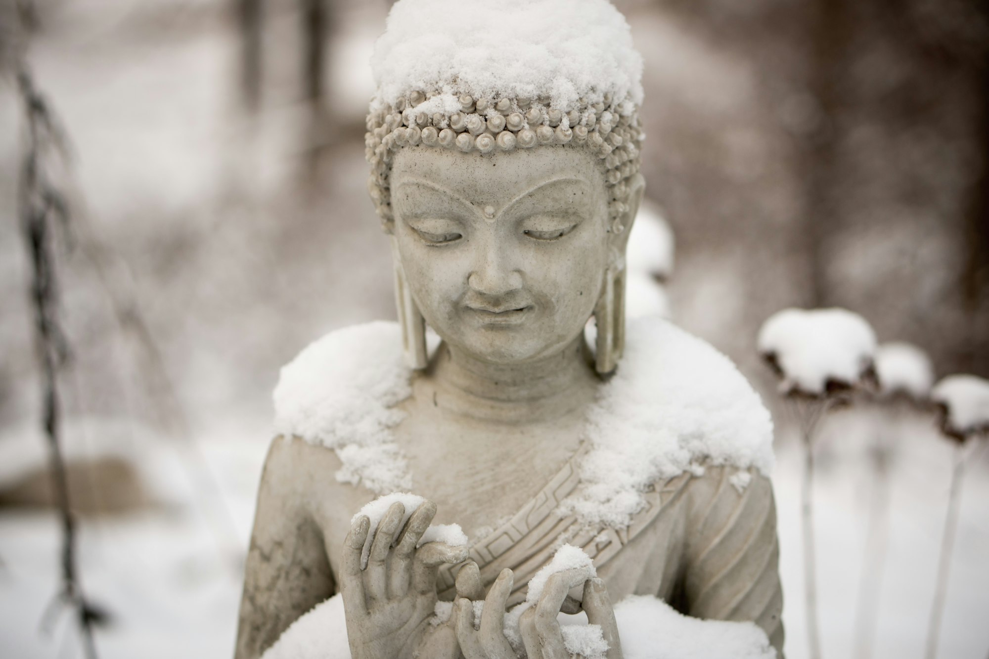 This little buddha statue, collecting snow on a winter day, is a main feature of my garden. In the summer I hardly notice him for all the activity around flowers, herbs and bees.