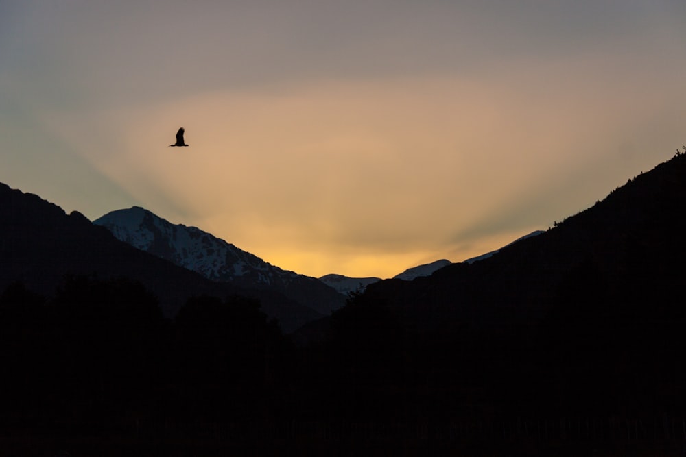 silhouette photography of mountain