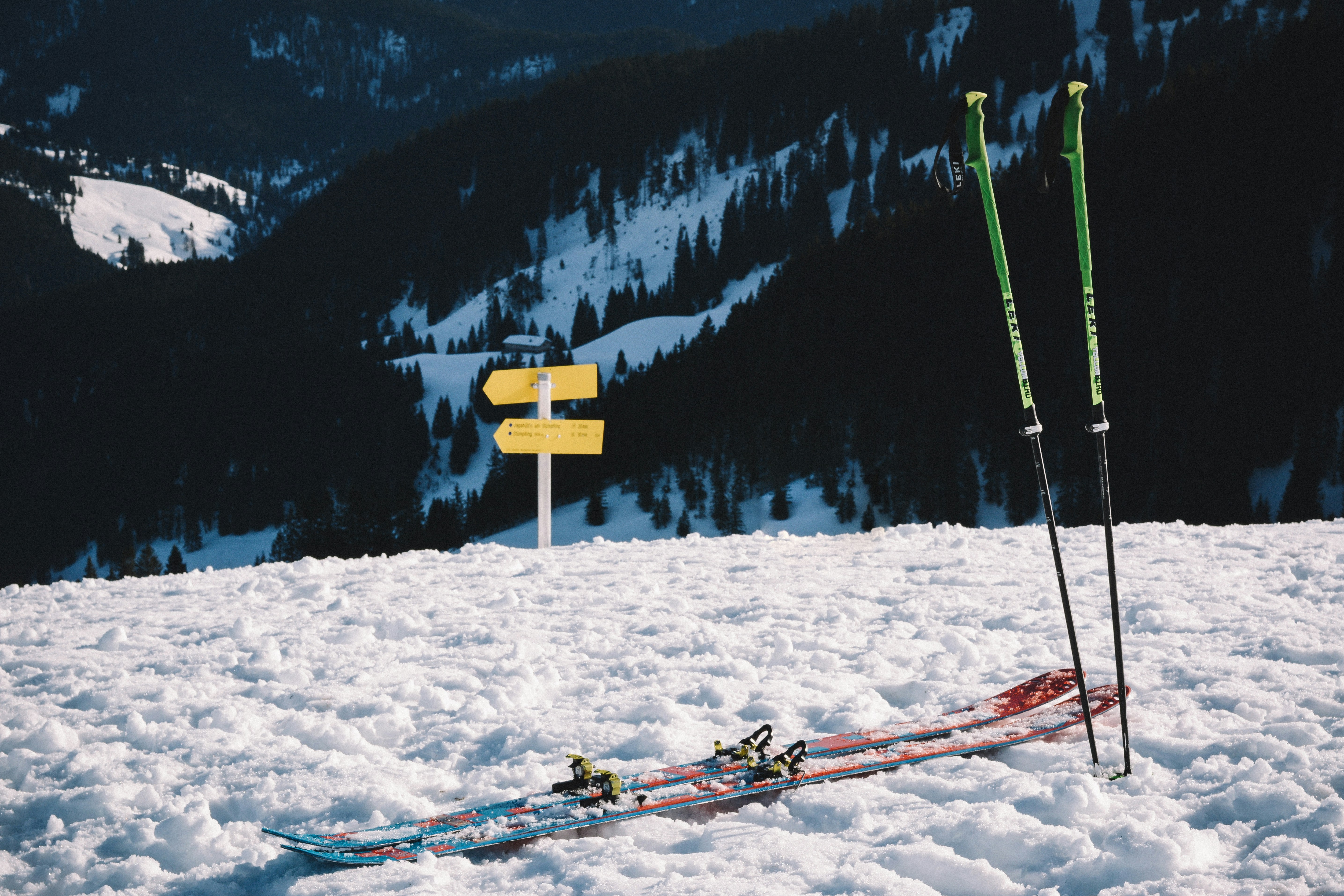 skis
