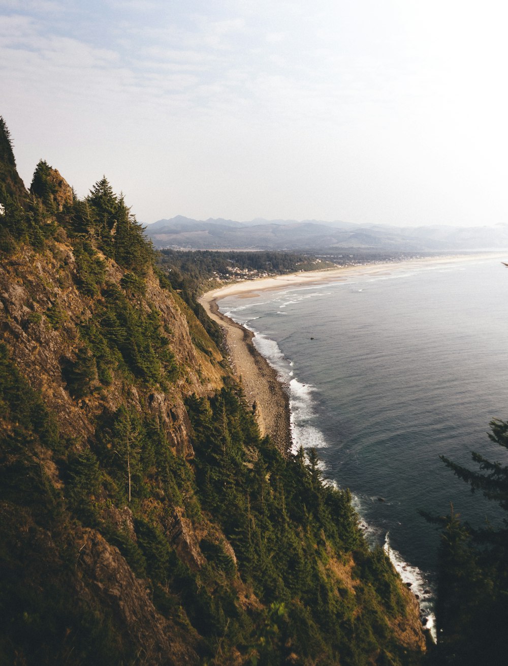 trees covered mountain beside sea under white skies