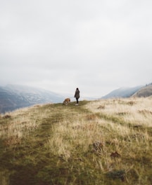 woman standing beside short-coated brown dog on green grass field mountain under gray sky
