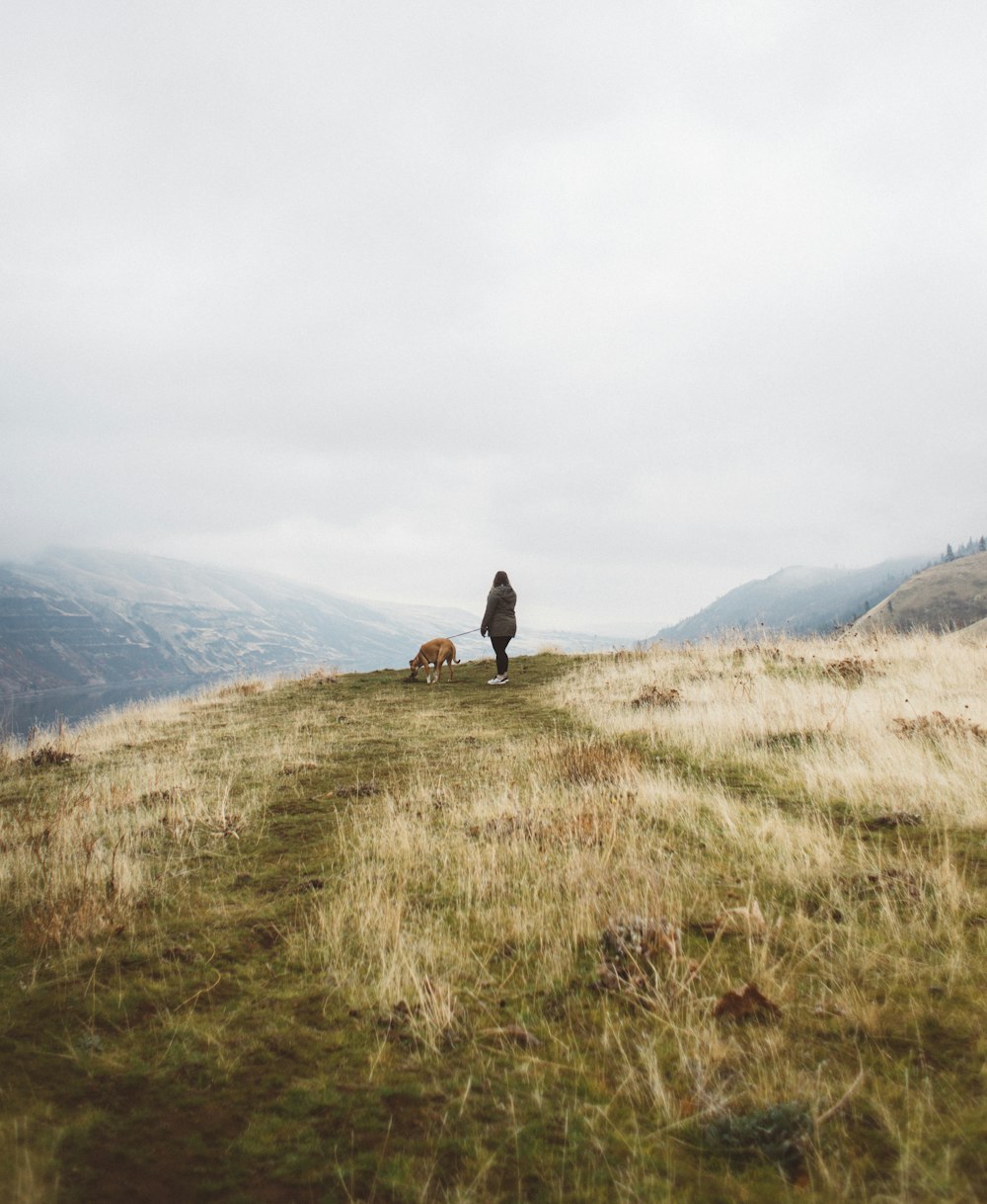 灰色の空の下、緑の草原の山に短いコートの茶色の犬のそばに立つ女性