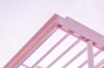 pink metal frame photo